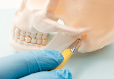 Dentist pointing to jaw joint on model of skull